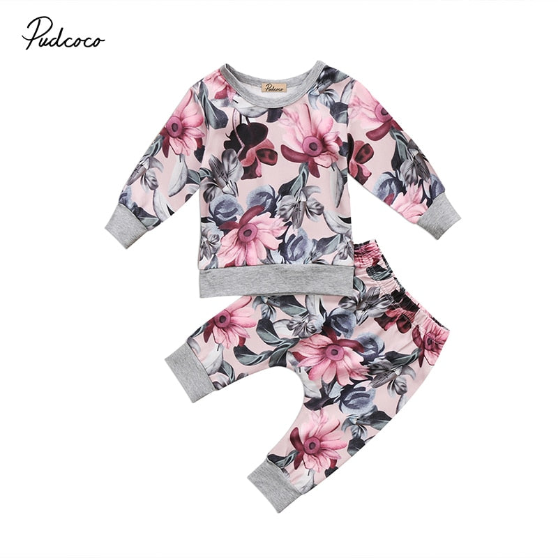 0-24M Cute Newborn Baby Girl Clothing Autumn Long Sleeve Floral Pullover Tops+Long Pant Trouser 2PCS Outfit Baby Clothes Set